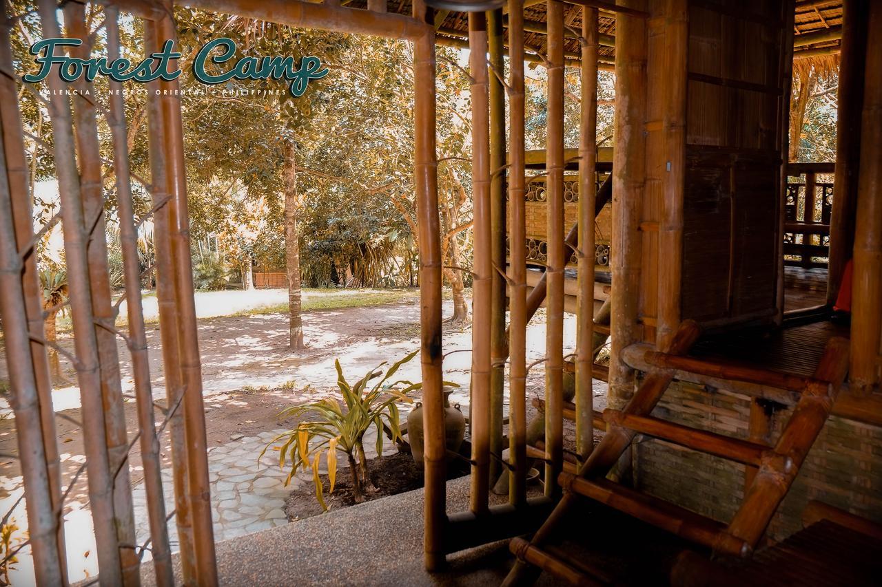 Forest Camp Resort Valencia  Exteriér fotografie